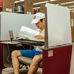 Dissertation search tamu