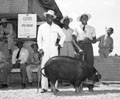 Toward a Better Living: African American Farming Communities in Mid-Century Texas
