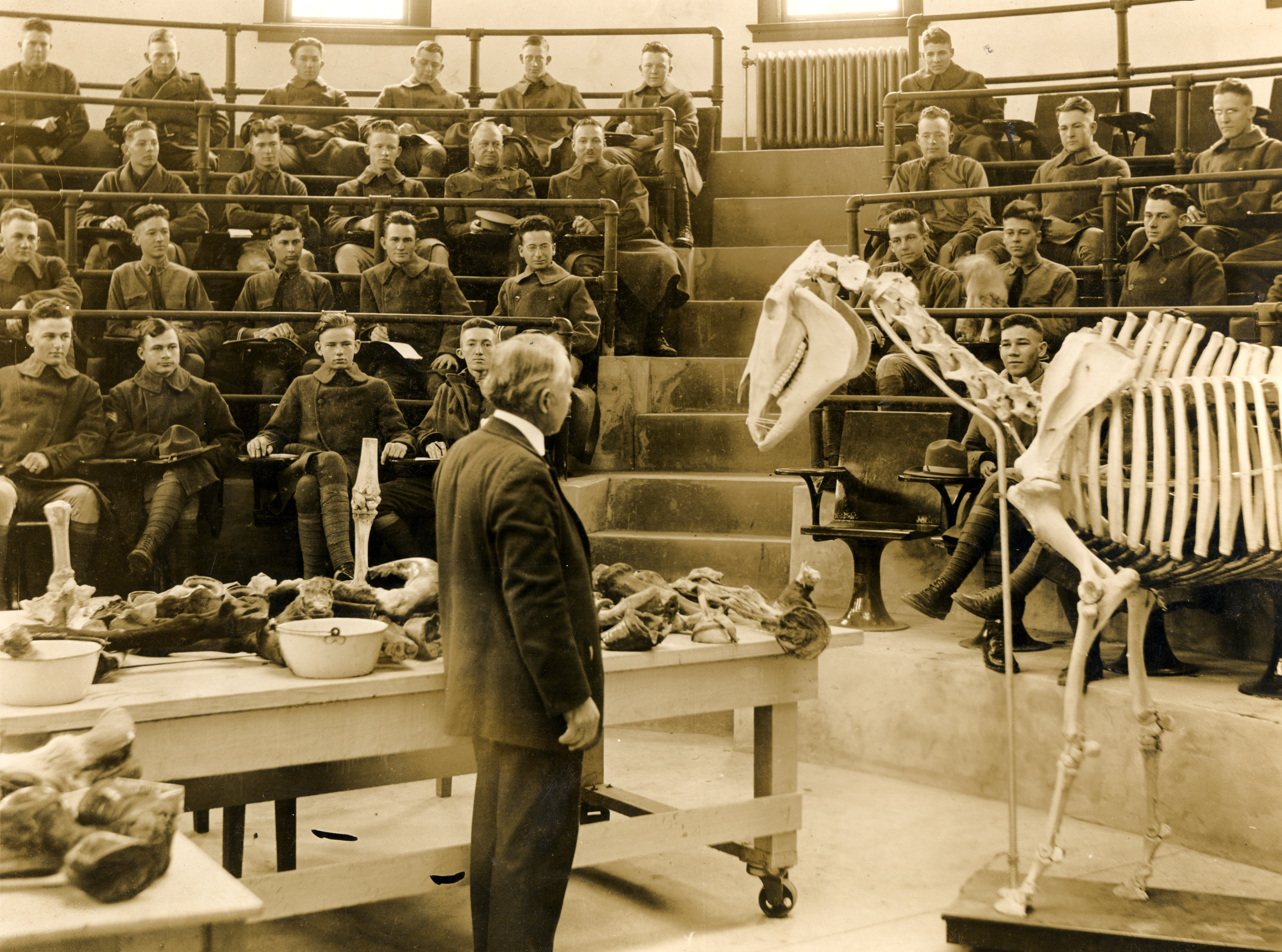 College of Veterinary Medicine & Biomedical Sciences Image Collection