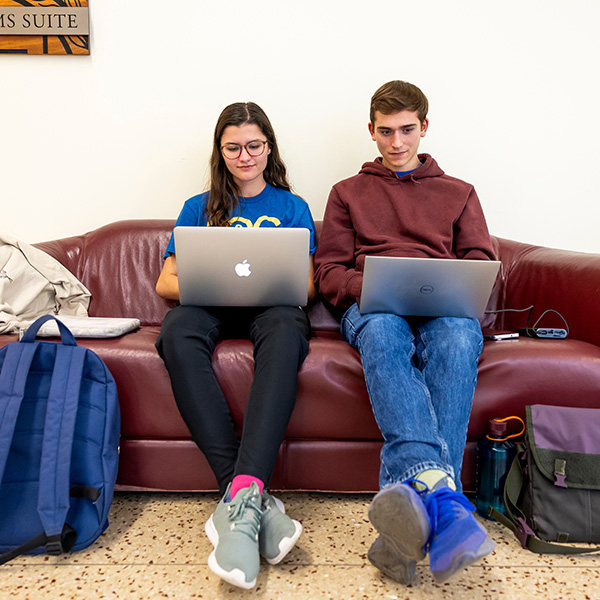 Two students on a sofa studying laptops