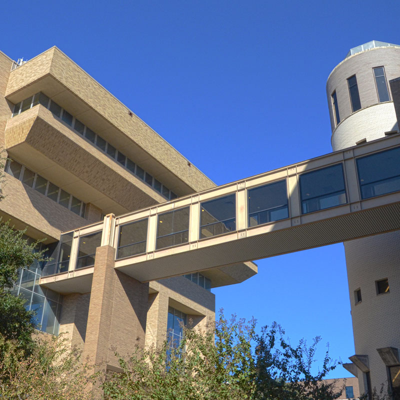 evans library